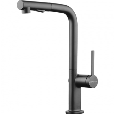 Смеситель для кухни Paulmark Neo Ne214419-B беретта ne214419-b - фото 109251