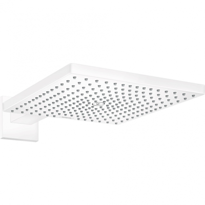 Верхний душ Hansgrohe Raindance 26238700, 300x300 мм, 1 режим струи, с держателем, белый матовый 26238700 - фото 228885