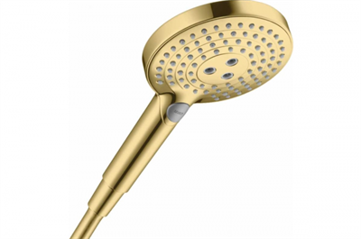 Душевая лейка Hansgrohe Raindance Select S 120 3jet, золото полированное, 26530990 26530990 - фото 228968