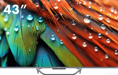 Телевизор Haier 43 Smart TV S4 dh1u8pd05ru - фото 259378