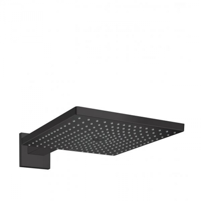 Верхний душ Hansgrohe Raindance 26238670, 300x300 мм, 1 режим струи, с держателем, черный матовый 26238670