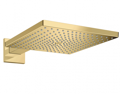 Верхний душ Hansgrohe Raindance 26238990, 300 х 300 мм, 1 режим струи, с держателем, золото 26238990