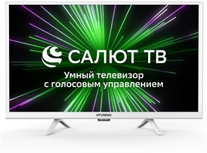 Телевизор Hyundai H-LED24BS5102 1891044