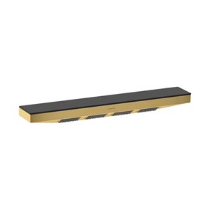 Боковой душ с полкой Hansgrohe Rainfinity 26243990 500 1jet, полированное золото 26243990