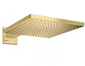 Верхний душ Hansgrohe Raindance 26238990, 300 х 300 мм, 1 режим струи, с держателем, золото 26238990