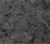 Встраиваемая индукционная варочная панель Lex EVI 640 F DS chpe000006 - фото 107142