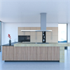 Островная вытяжка Falmec Lumen Isola Steel 175 DX CLUI75.E0P2#NEUI491F clui75.e0p2#neui490f - фото 150435