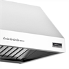 Вытяжка пристенная Falmec Zeus Pro 120 CZUN20.E0P2#ZZZI410F czun20.e0p2#zzzi410f - фото 151189