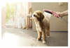 Душевая лейка для мытья собак Hansgrohe DogShower 26640560, 3 типа струи, розовый 26640560 - фото 188073