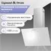 Каминная вытяжка Zigmund & Shtain K 149.6 W 4250055620159 - фото 193105