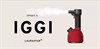 Отпариватель LauraStar IGGI Intense Red 000.0104.600 - фото 218214