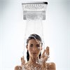 Верхний душ Hansgrohe Raindance Rainfal 180 2jet 28433400, белый/хром 28433400 - фото 229293
