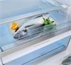 Gorenje RI5182A1 однокамерный холодильник встраиваемый 732554 - фото 243100
