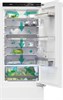 Встраиваемый холодильник Gorenje GDR 5182 A1 733711 - фото 243438