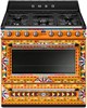 Комбинированная плита Smeg TR90DGC9 8017709268428 - фото 248008