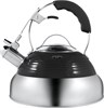 Чайник Maunfeld MRK-119BK ка-00013308