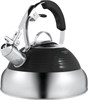 Чайник Maunfeld MRK-119BK ка-00013308