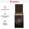 Плита Gefest ПГ 5100-02 0010 10445001