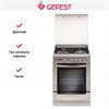 Плита Gefest 6100-04 0004 10453001