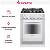 Плита Gefest ПГ 6500-02 0042 10462001