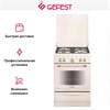 Плита Gefest 6100-02 0186 10551001