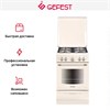 Плита Gefest ПГ 5100-02 0186 10555001