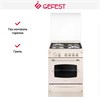 Плита Gefest 6100-03 0279 10574001