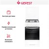 Плита Gefest ПГ 3200-05 23500001