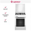 Плита Gefest 6100-04 61004001