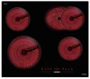 Электрическая варочная панель Korting HK 63910 B 00000021146