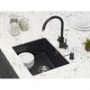 Кухонная мойка Paulmark GERA черный металлик pm205546-blm - фото 70688