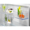 Встраиваемый холодильник Electrolux LNS5LE18S lns5le18s - фото 85373