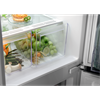 Встраиваемый холодильник Electrolux LNS5LE18S lns5le18s - фото 85374